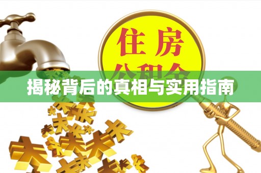 文安揭秘背后的真相与实用指南