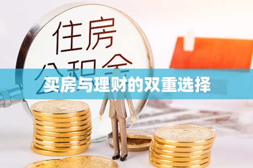 文安买房与理财的双重选择