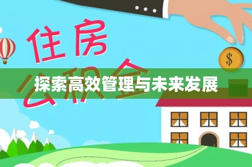 文安探索高效管理与未来发展