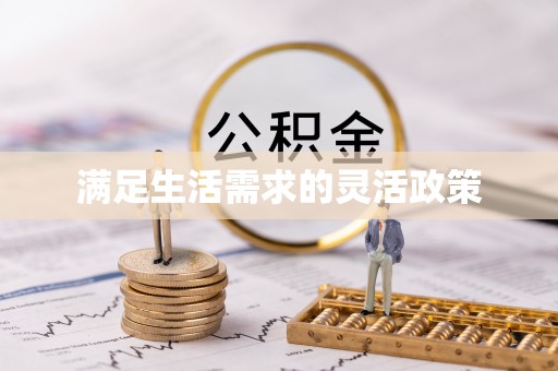 文安满足生活需求的灵活政策