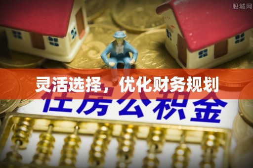 文安灵活选择，优化财务规划