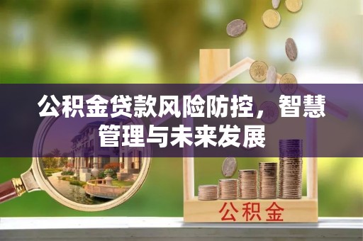 文安公积金贷款风险防控，智慧管理与未来发展