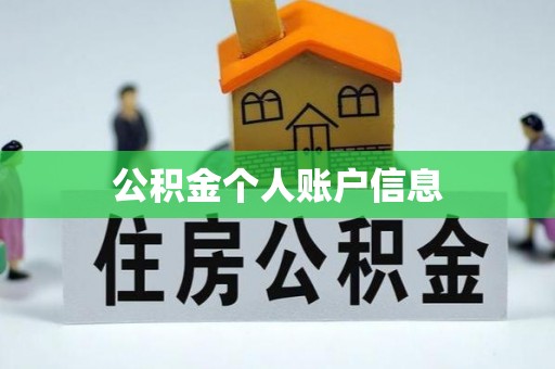 文安公积金个人账户信息