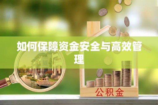 文安如何保障资金安全与高效管理