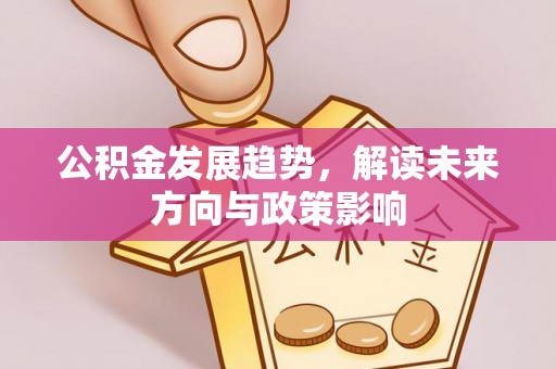 文安公积金发展趋势，解读未来方向与政策影响