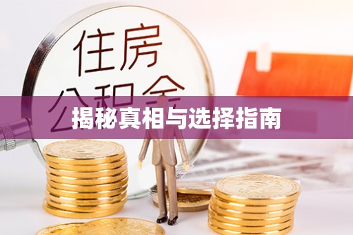 文安揭秘真相与选择指南