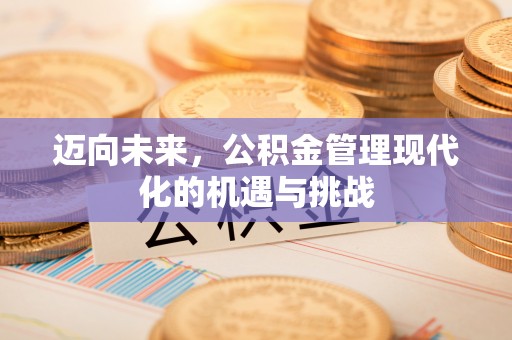 文安迈向未来，公积金管理现代化的机遇与挑战