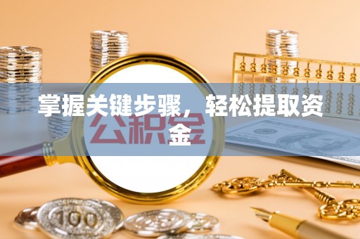 文安掌握关键步骤，轻松提取资金