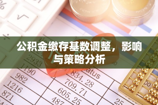 文安公积金缴存基数调整，影响与策略分析