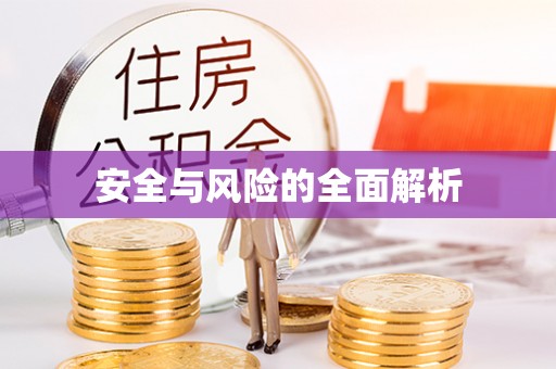 文安安全与风险的全面解析