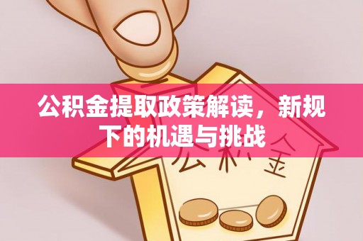 文安公积金提取政策解读，新规下的机遇与挑战