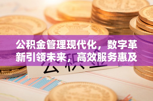 文安公积金管理现代化，数字革新引领未来，高效服务惠及民生