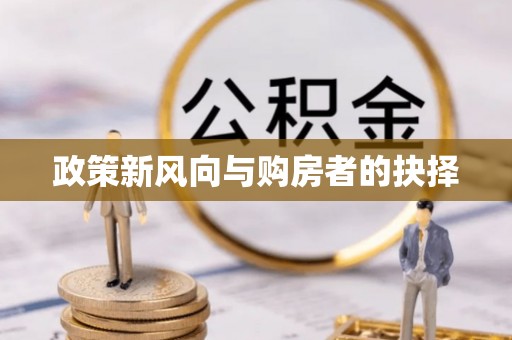 文安政策新风向与购房者的抉择