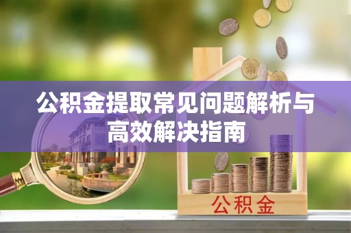 文安公积金提取常见问题解析与高效解决指南