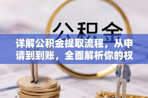 文安详解公积金提取流程，从申请到到账，全面解析你的权益与操作步骤