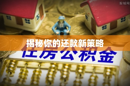 文安揭秘你的还款新策略