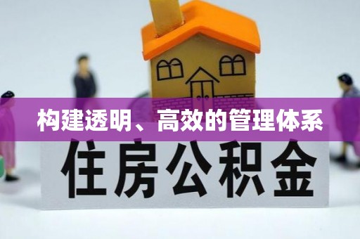 文安构建透明、高效的管理体系