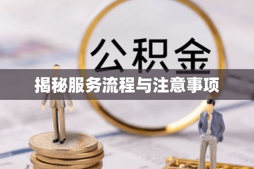 文安揭秘服务流程与注意事项