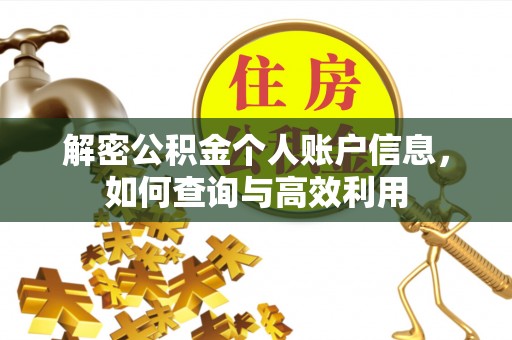 文安解密公积金个人账户信息，如何查询与高效利用