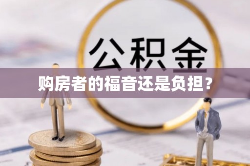 文安购房者的福音还是负担？