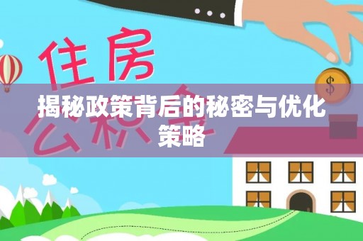 文安揭秘政策背后的秘密与优化策略