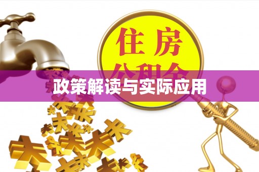 文安政策解读与实际应用