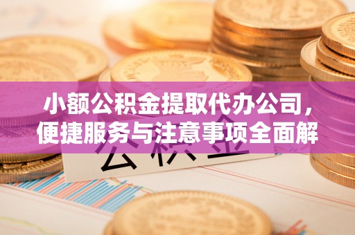 文安小额公积金提取代办公司，便捷服务与注意事项全面解析