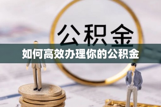 文安如何高效办理你的公积金