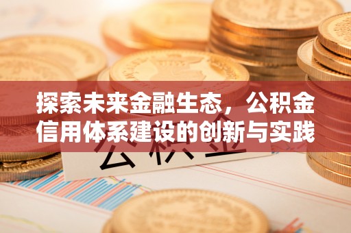 文安探索未来金融生态，公积金信用体系建设的创新与实践