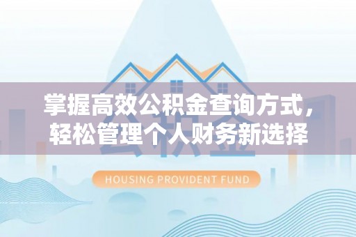 文安掌握高效公积金查询方式，轻松管理个人财务新选择