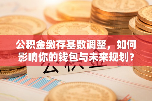文安公积金缴存基数调整，如何影响你的钱包与未来规划？