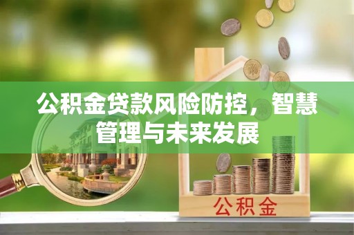 文安公积金贷款风险防控，智慧管理与未来发展