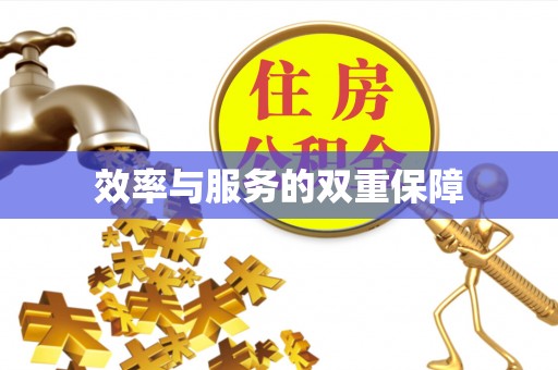 文安效率与服务的双重保障