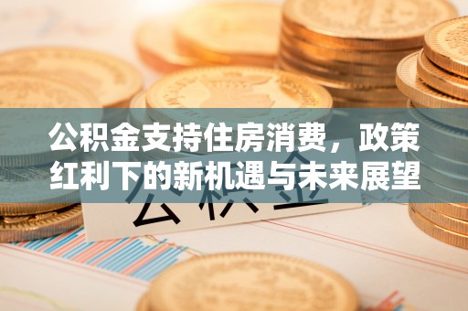 文安公积金支持住房消费，政策红利下的新机遇与未来展望