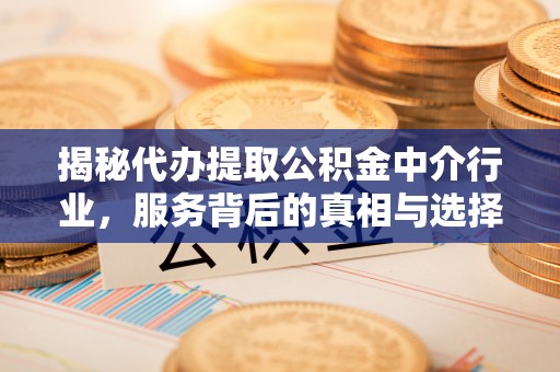 文安揭秘代办提取公积金中介行业，服务背后的真相与选择指南