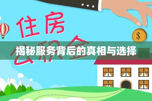 文安揭秘服务背后的真相与选择