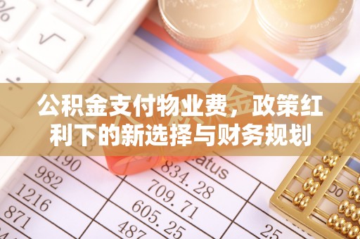 文安公积金支付物业费，政策红利下的新选择与财务规划