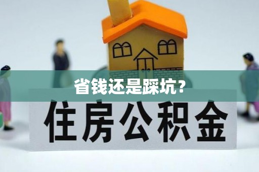文安省钱还是踩坑？
