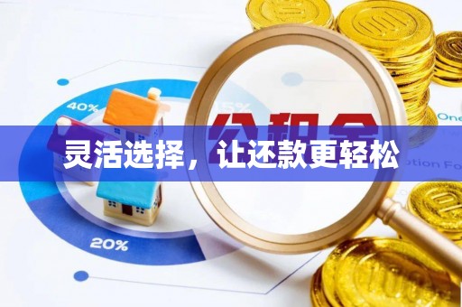 文安灵活选择，让还款更轻松