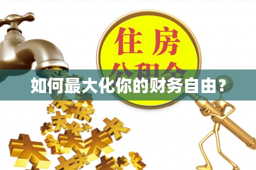 文安如何最大化你的财务自由？