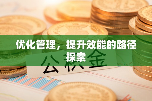 文安优化管理，提升效能的路径探索