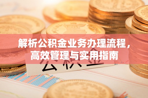 文安解析公积金业务办理流程，高效管理与实用指南
