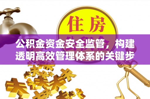 文安公积金资金安全监管，构建透明高效管理体系的关键步骤