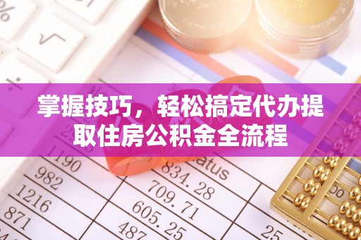 文安掌握技巧，轻松搞定代办提取住房公积金全流程