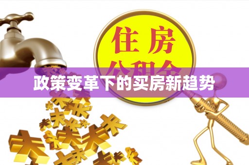 文安政策变革下的买房新趋势