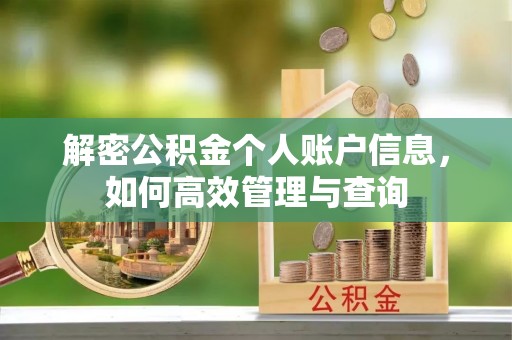 文安解密公积金个人账户信息，如何高效管理与查询