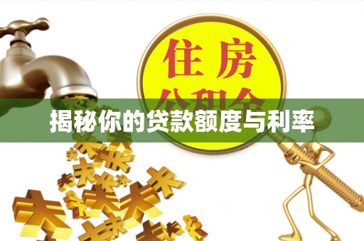 文安揭秘你的贷款额度与利率