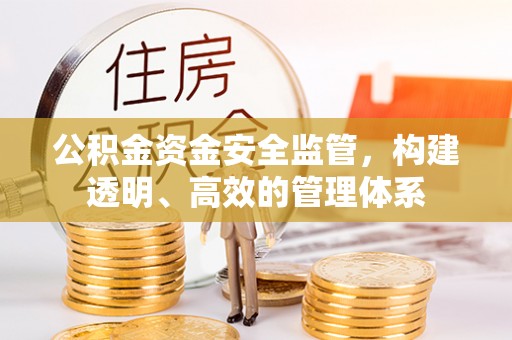 文安公积金资金安全监管，构建透明、高效的管理体系
