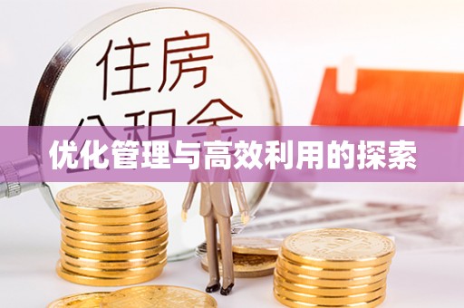 文安优化管理与高效利用的探索
