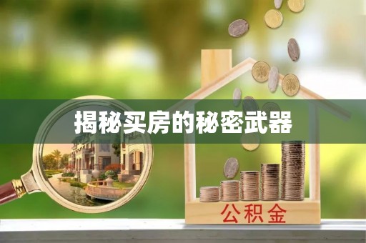 文安揭秘买房的秘密武器